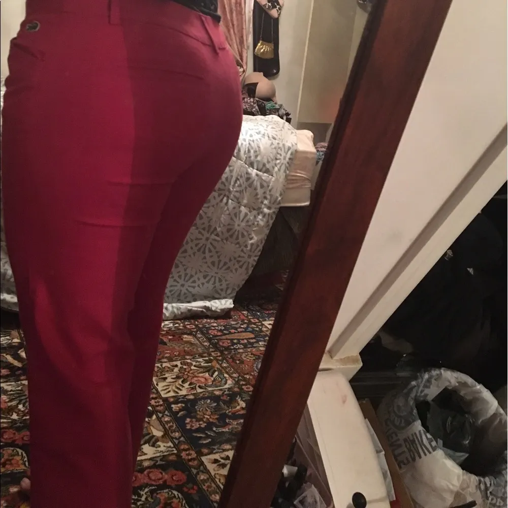 Lacoste nwot ankle  pants - Image 4