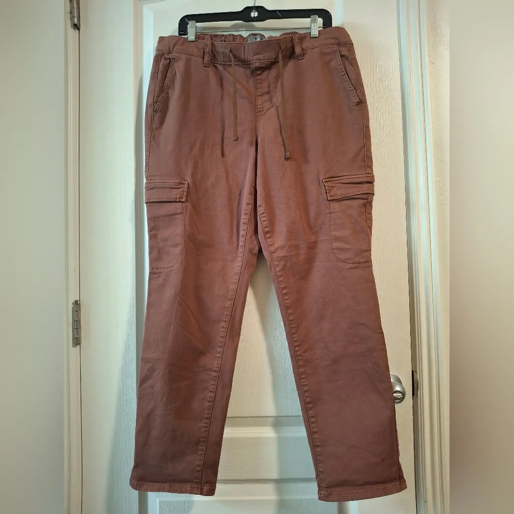 Torrid Sz 1 Brown Pants - Image 2
