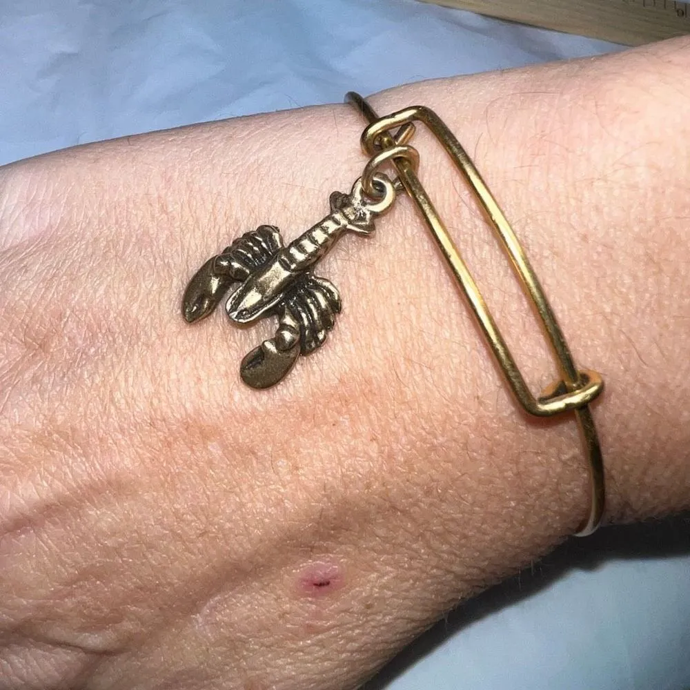 Alex and Ani Antique Gold Tone Lobster Charm Bangle Bracelet - Image 4