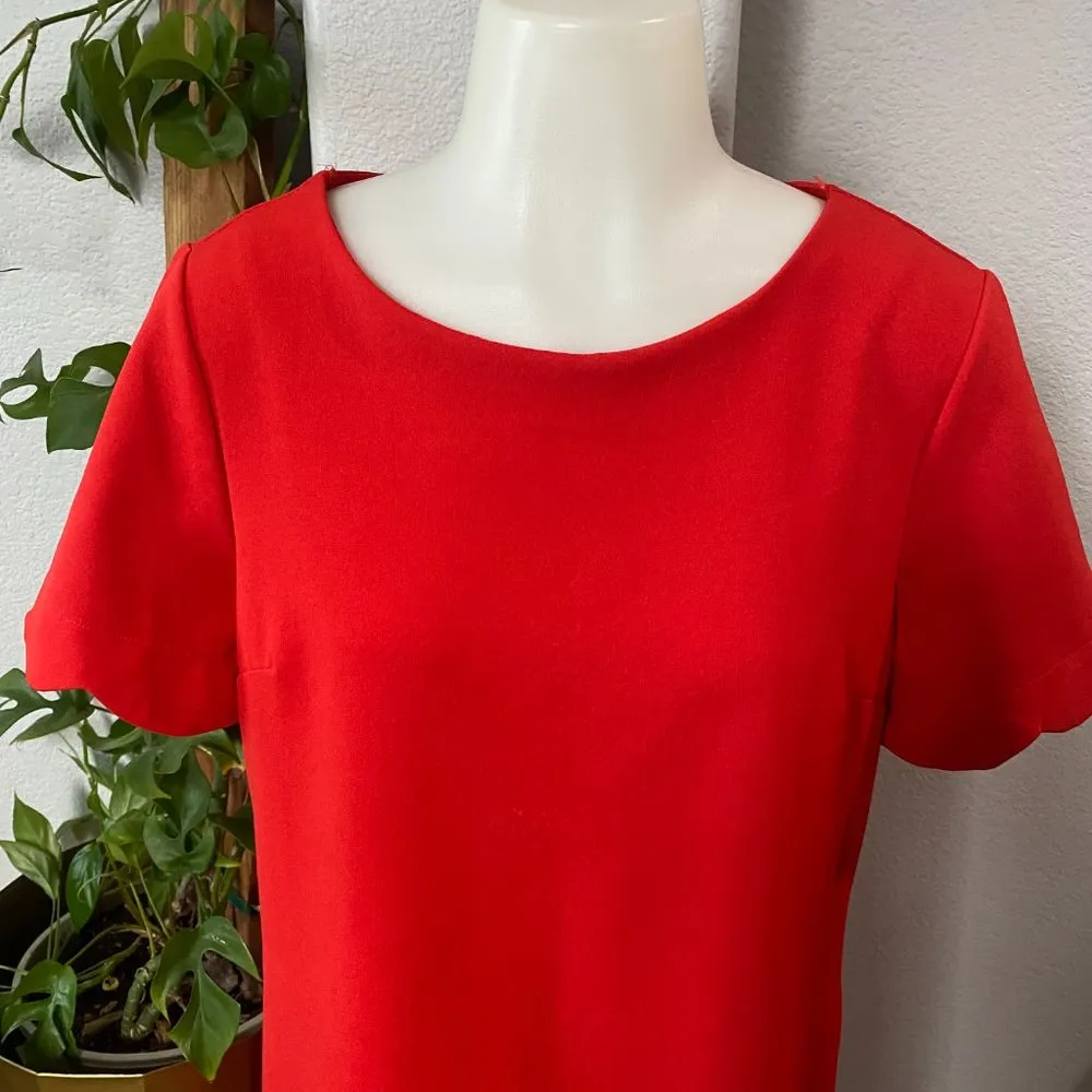 Monteau Los Angeles Scalloped Shift Dress Size Large - Image 2