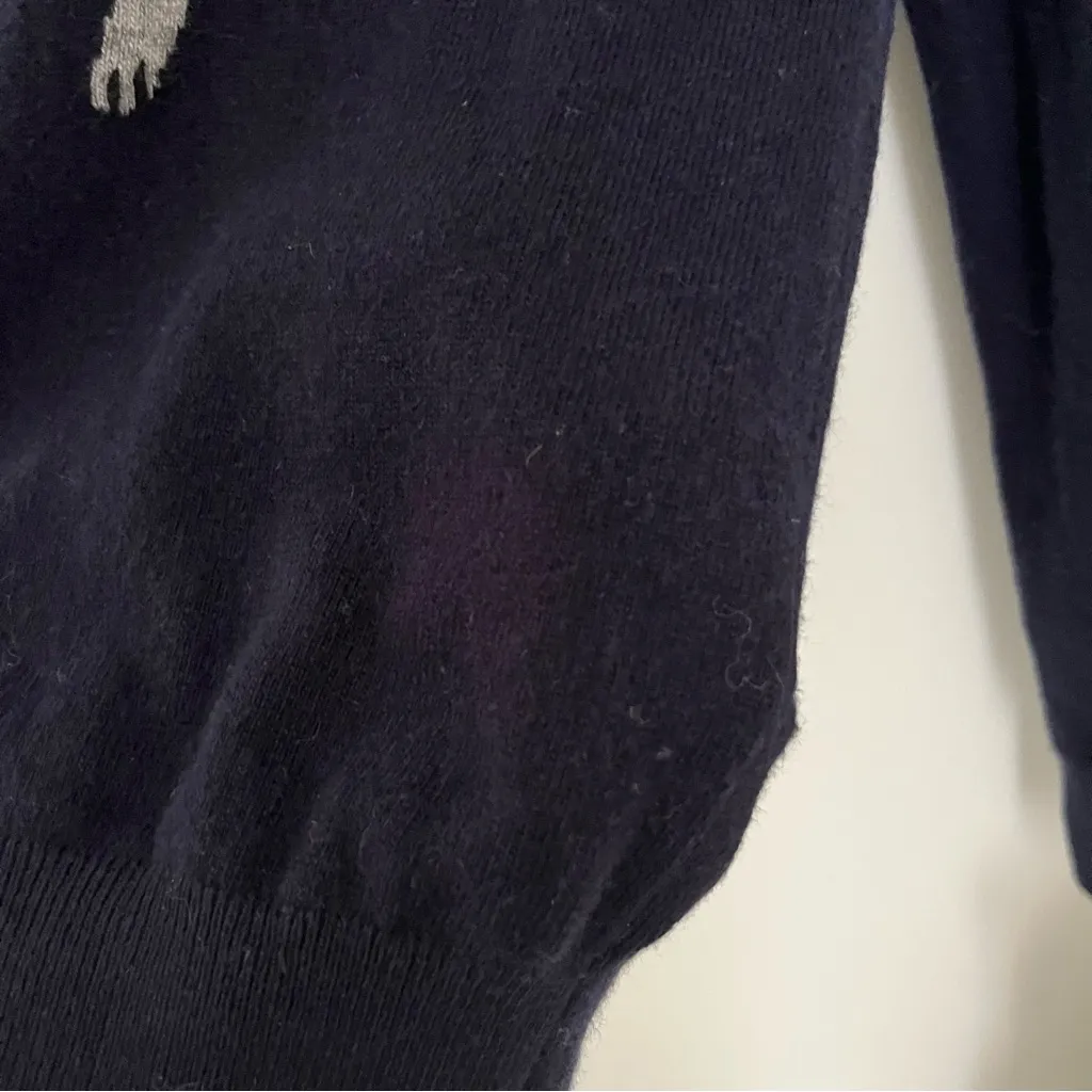 J Crew Navy Pullover with Adorable Frenchie  SZ S Preppy Quirky  Dog Lover 🐶 - Image 7