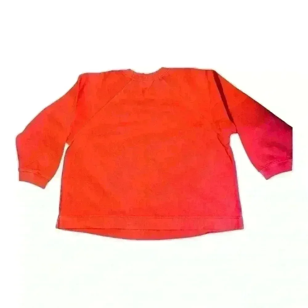 NWT Vintage Fresh Produce Sweatshirt Long Sleeve Graphic orange Tropical S - Image 4