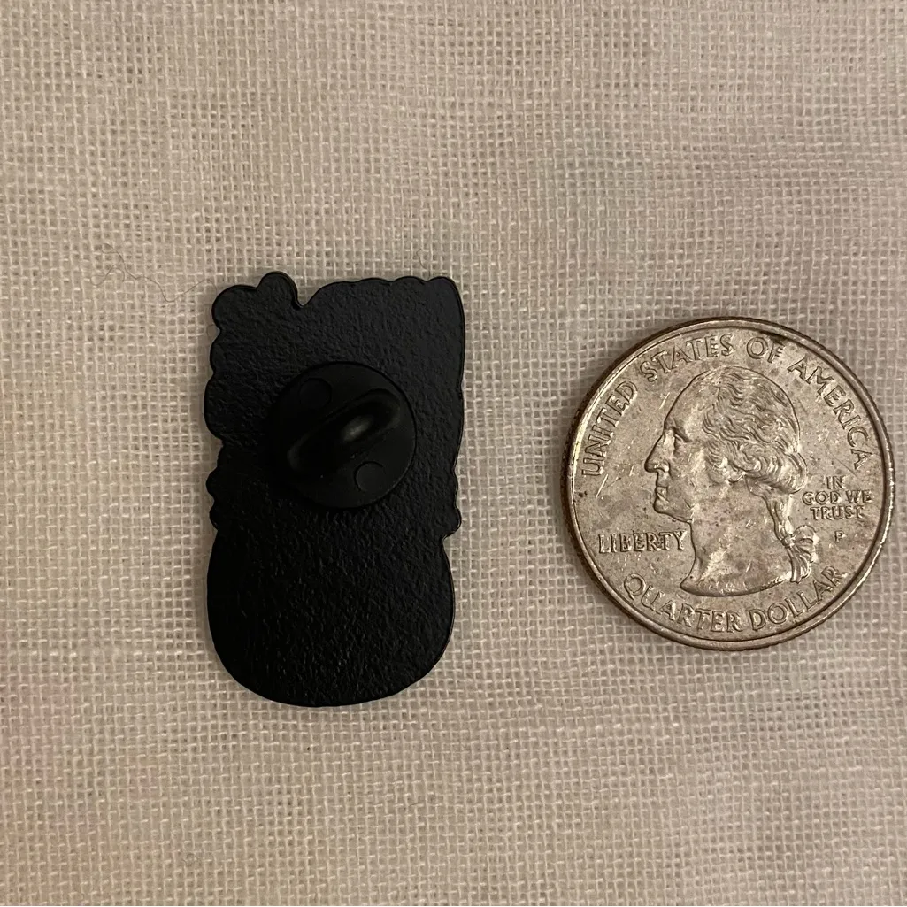 Enamel pin or magnet states the plain truth Black - Image 2