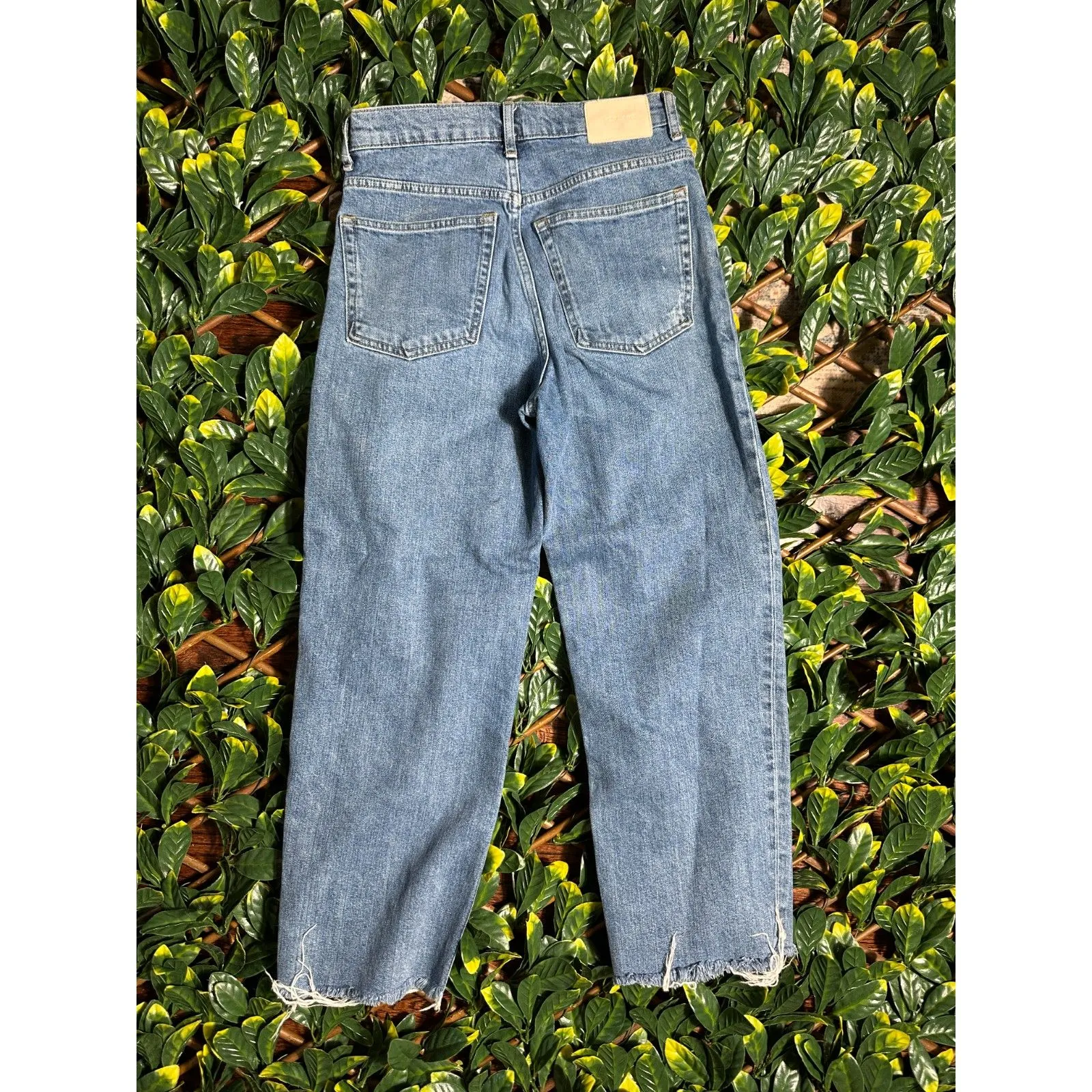 Everlane The Way High Jean Size 25 - Image 6