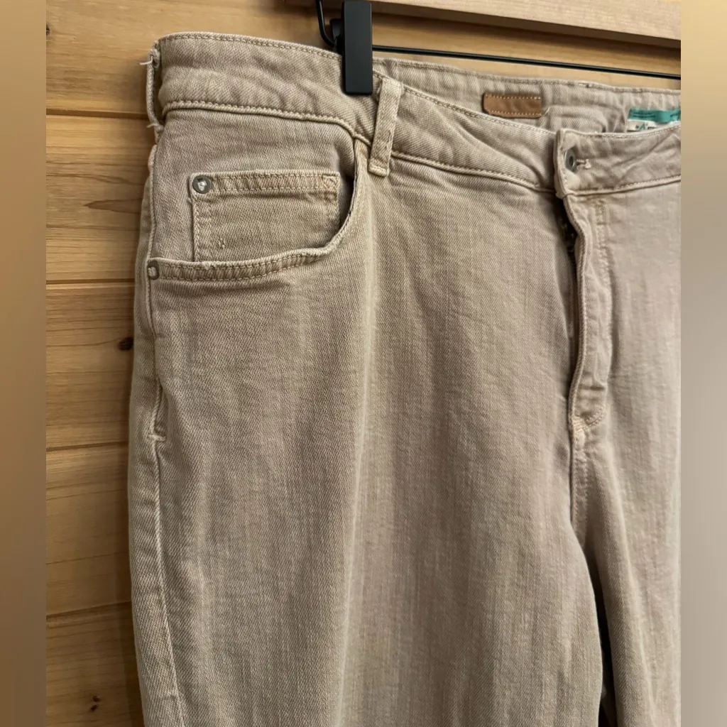 Pilcro Anthropologie Size 18W Tan The Vintage Straight Cropped Cotton Jeans - Image 4