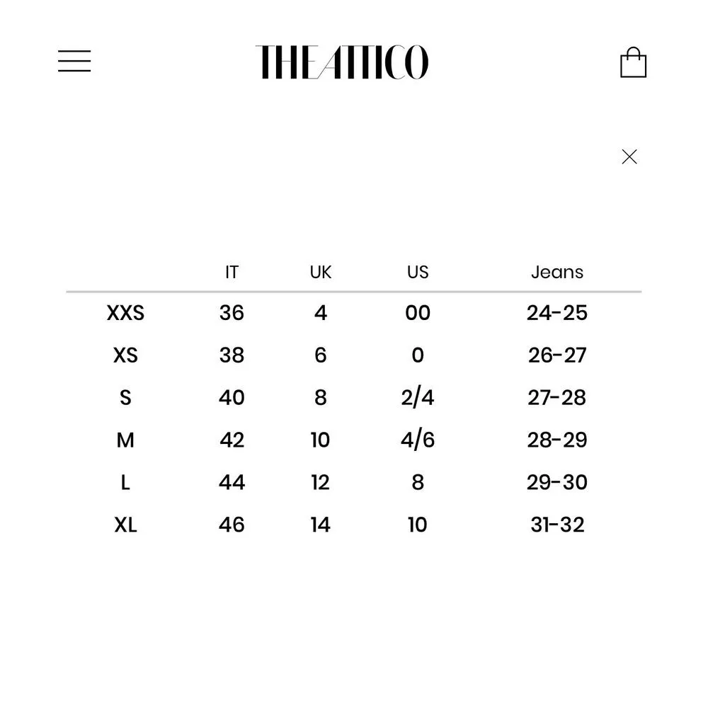 THE ATTICO Pink Silvye zebra - Image 16