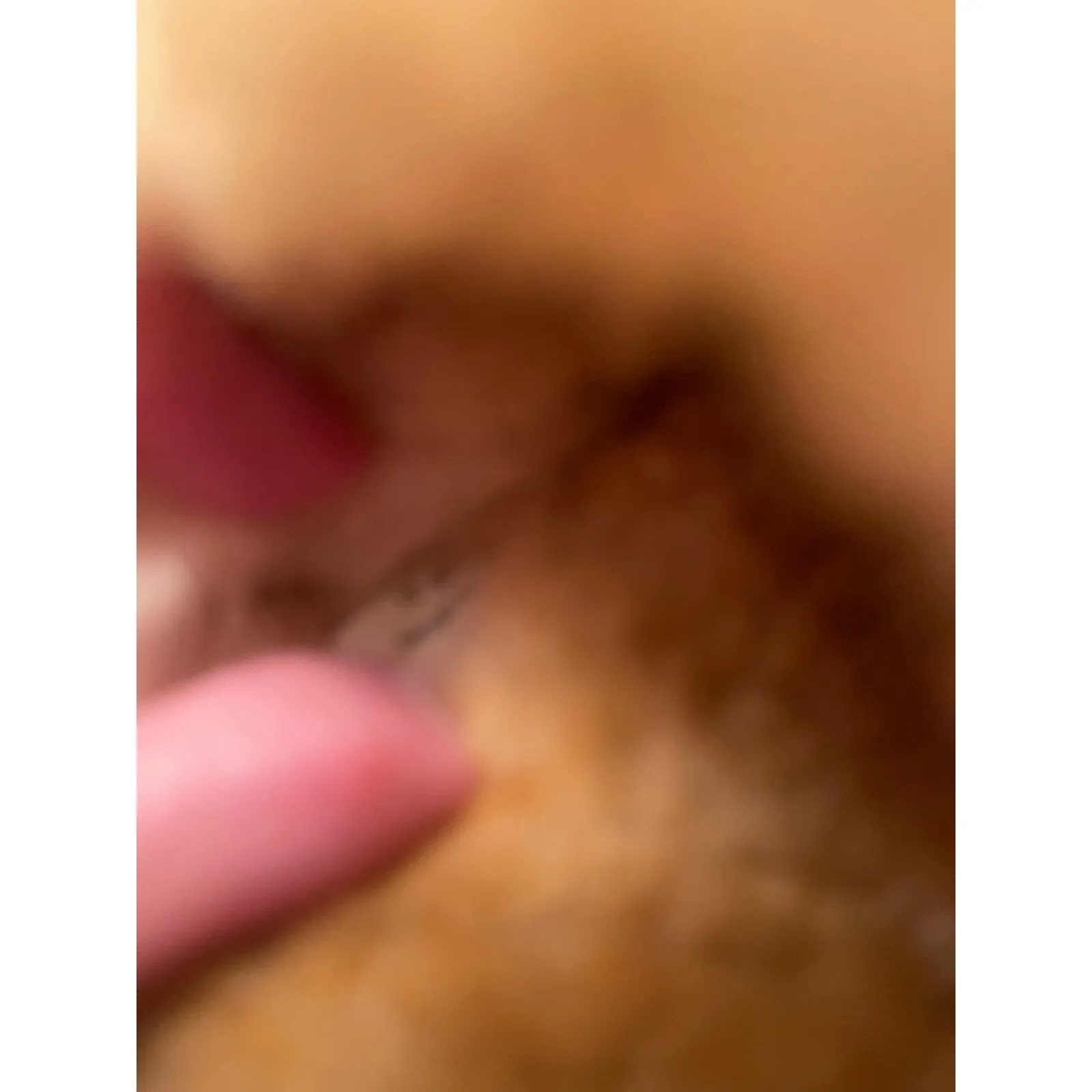 L.L. Bean Wicked Good Shearling Lined Slides Blue 10 Medium Slippes tried on EUC - Image 8