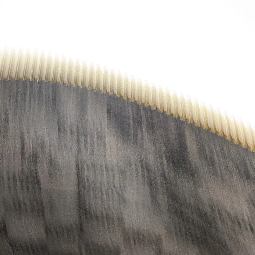 Michael Kors Black Wristlet with Gold Accents - Image 6