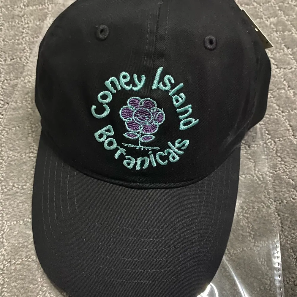 Urban Outfitters Coney Island Picnic Botanicals Baseball Hat NWT - Black - Image 3