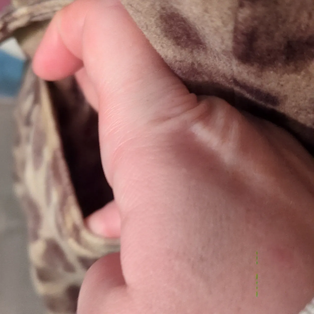 Talbots Cheetah Print Blazer Jacket Size 4 - Image 2