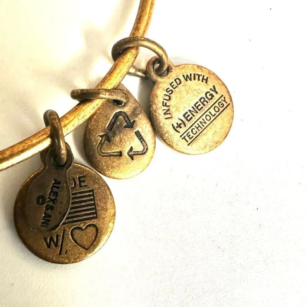 Alex and Ani gold tone Las Vegas bracelet - Image 5