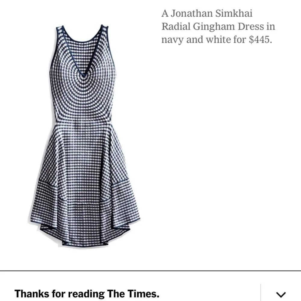 Jonathan Simkhai radial gingham fit and flare white and blue dress - Image 12