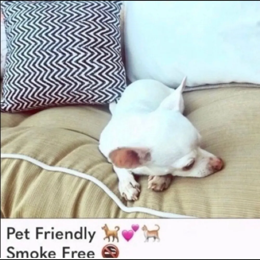 Project Social T | Knit Tank Top M -NWOT - Image 6