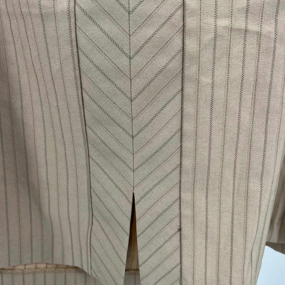 Lane Bryant 20 plus pinstripe neutral mini skirt tan black office casual - Image 3