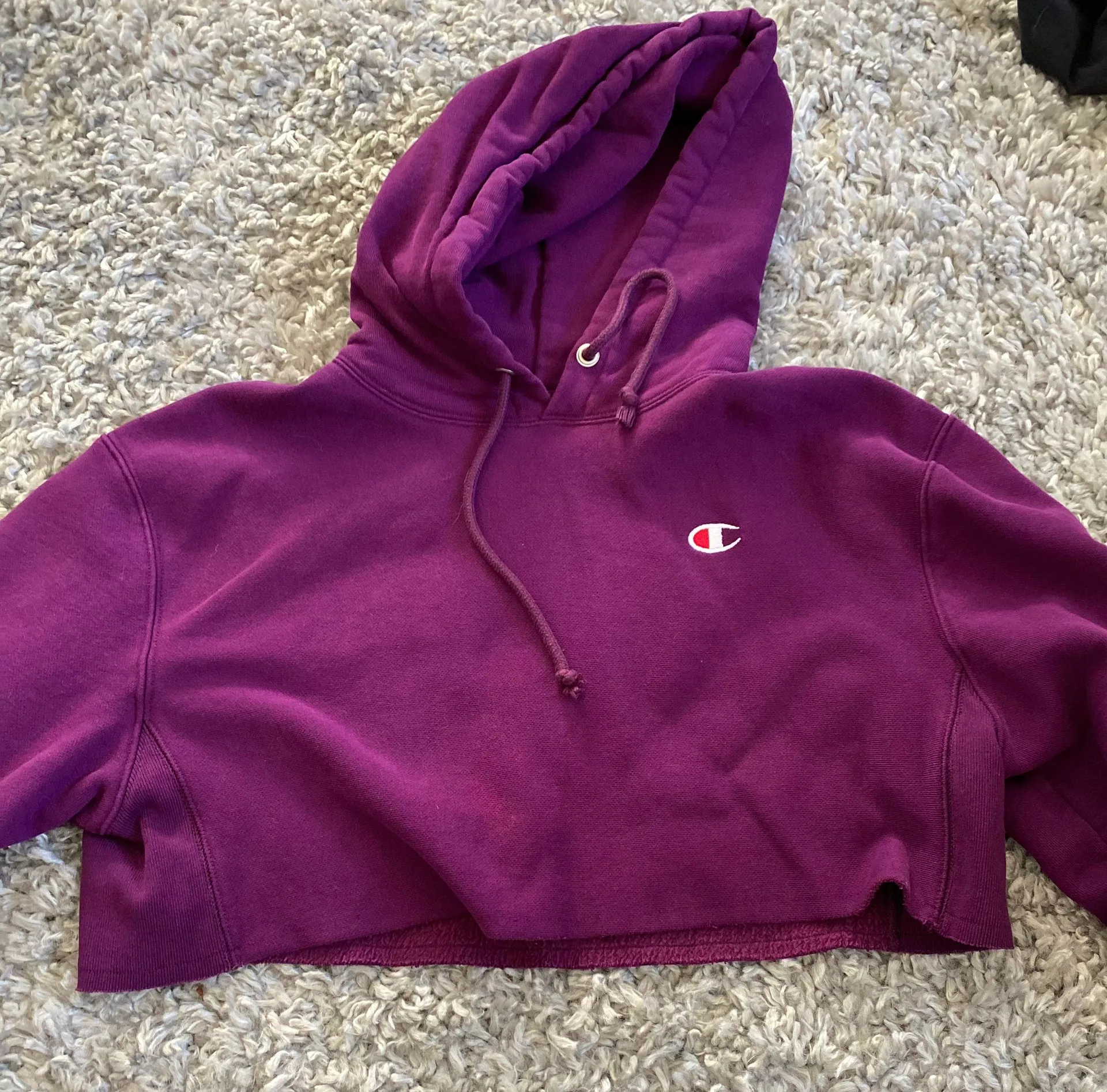 Champion Cropped Sweatshirt - Image 4