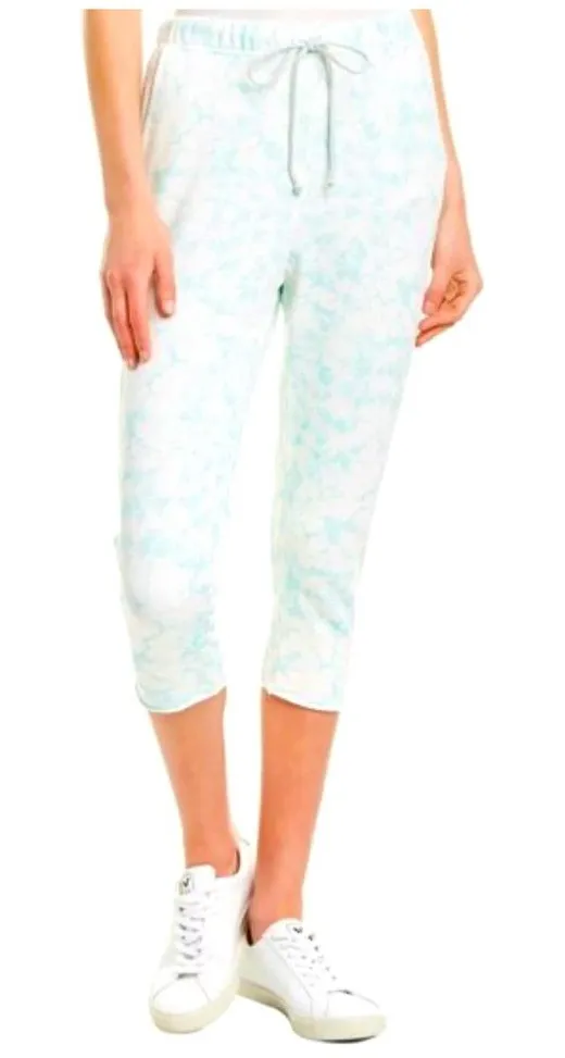 Frank & Eileen Tee Lab Limited Edition Core Crop Floral Ice Blue Sweatpants - Image 1