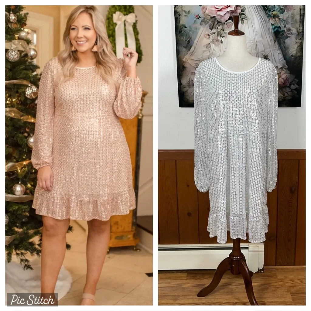 Gorgeous Chic Soul Silver Sequin Dress! - Image 2
