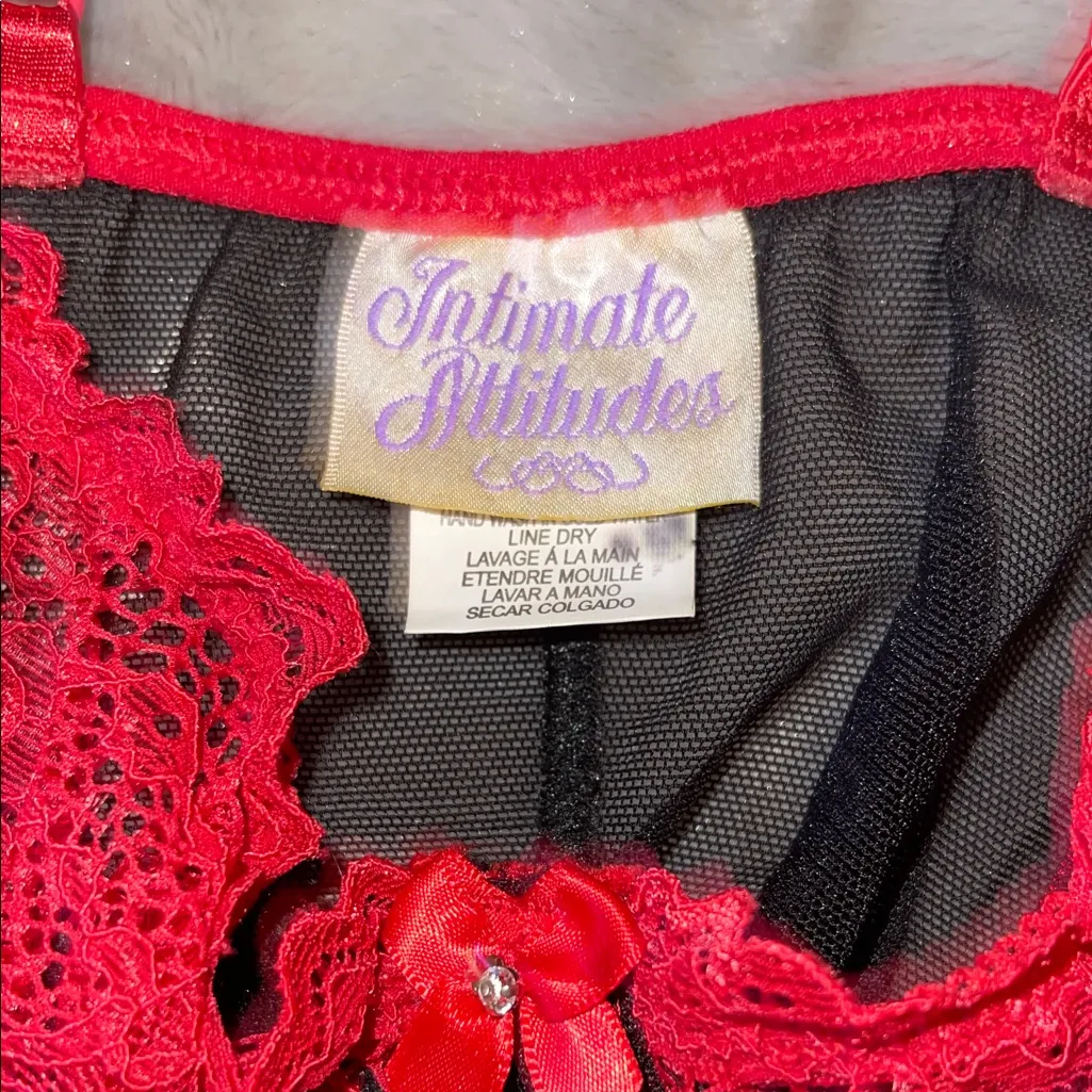 Intimate Attitudes Black & Red Lace Lingerie - Image 2