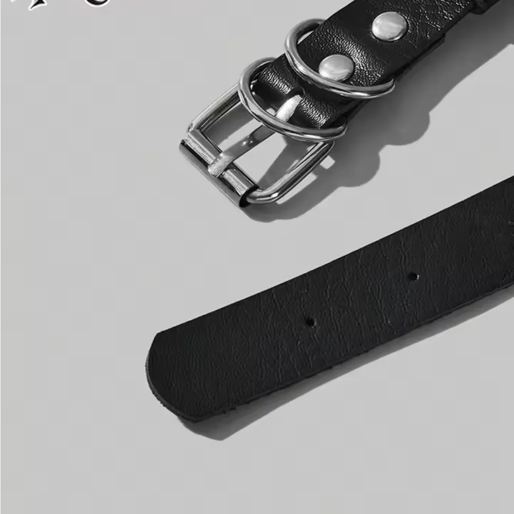 Black Leather Collar with Silver Spider Pendant - Image 6