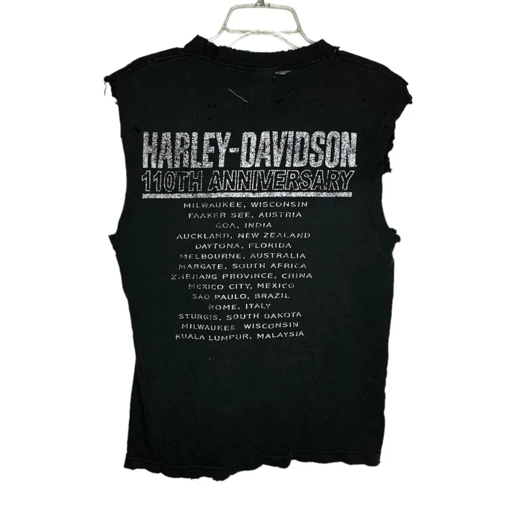 LF Furst of a Kind ‎ Destroyed Harley Davidson T-Shirt - Image 5