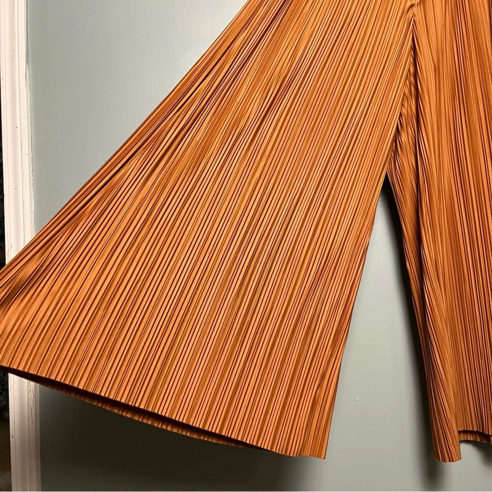 ASTR The Label Cruise Pant Wide Leg Pleated Pull On Trouser Rust Women’s Size S - Image 4