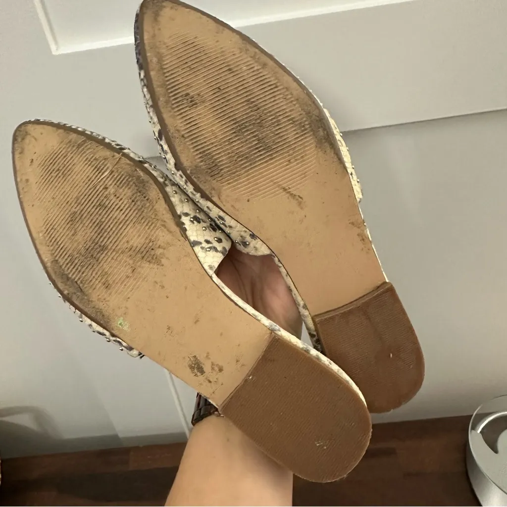 Steve Madden  Mules - Image 5