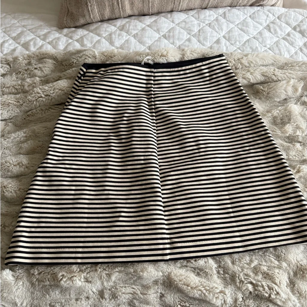 Everlane dream mini skirt, nwt, size xs. Striped. Pet and smoke free home. - Image 2