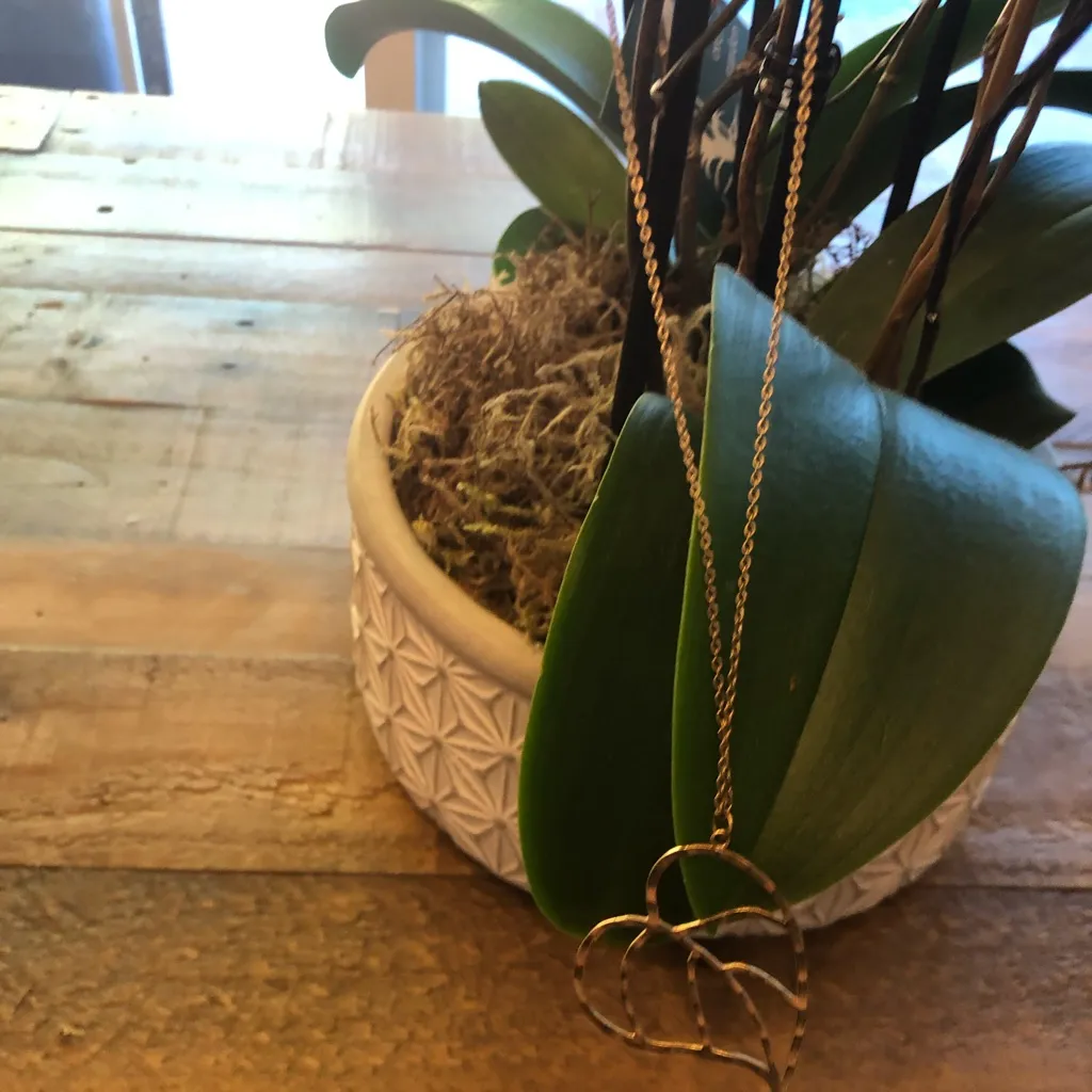 Robyn Rhodes Gold Plated‎ Heart Necklace - Image 5