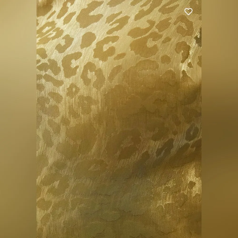 NWOT- Joplin Blouse, gold cheetah organza Size Medium - Image 5