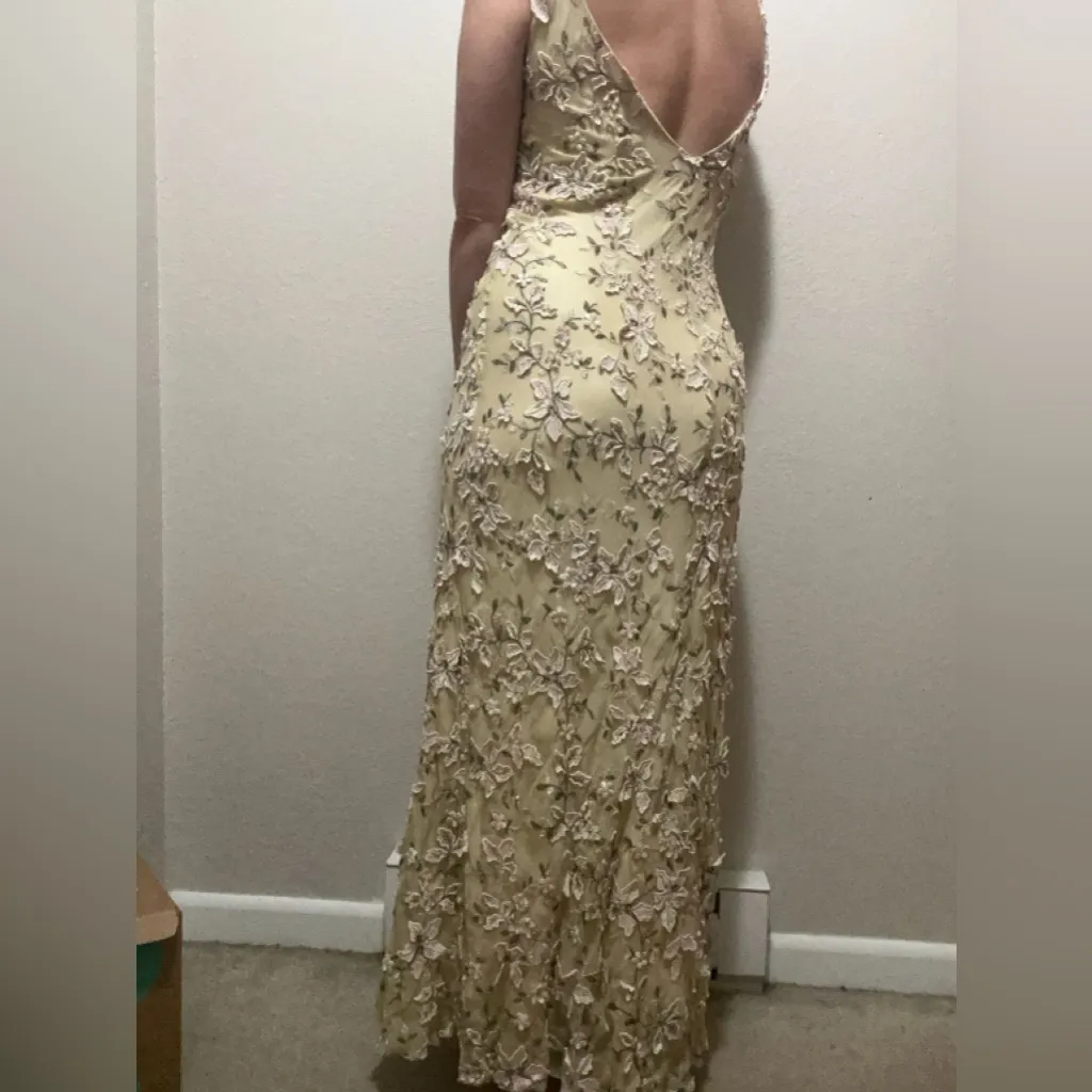 Lena Medoyeff 100% Silk Embroidered Gown Champagne Floral Size Medium - Image 3