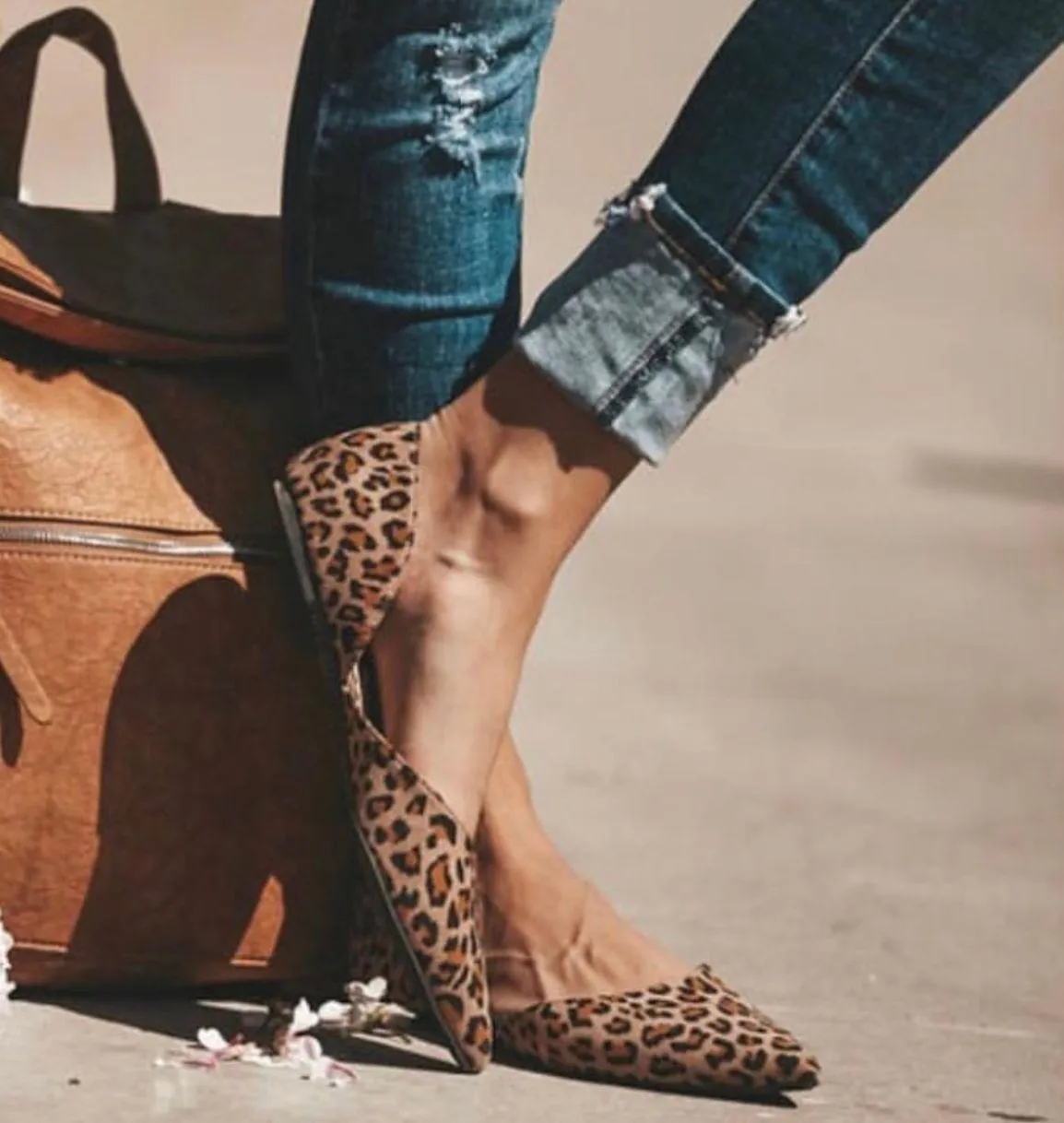 Leopard Flat Multi Size 7 - Image 2