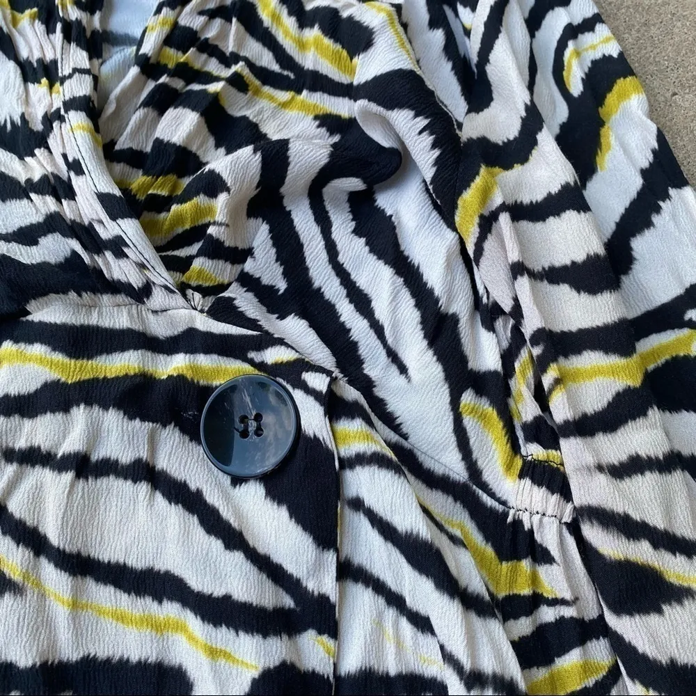 Zara Zebra Stripe Button Front Midi Dress - Image 5