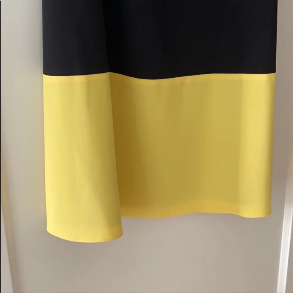 Alice + Olivia  Colorblock Dress - Image 5