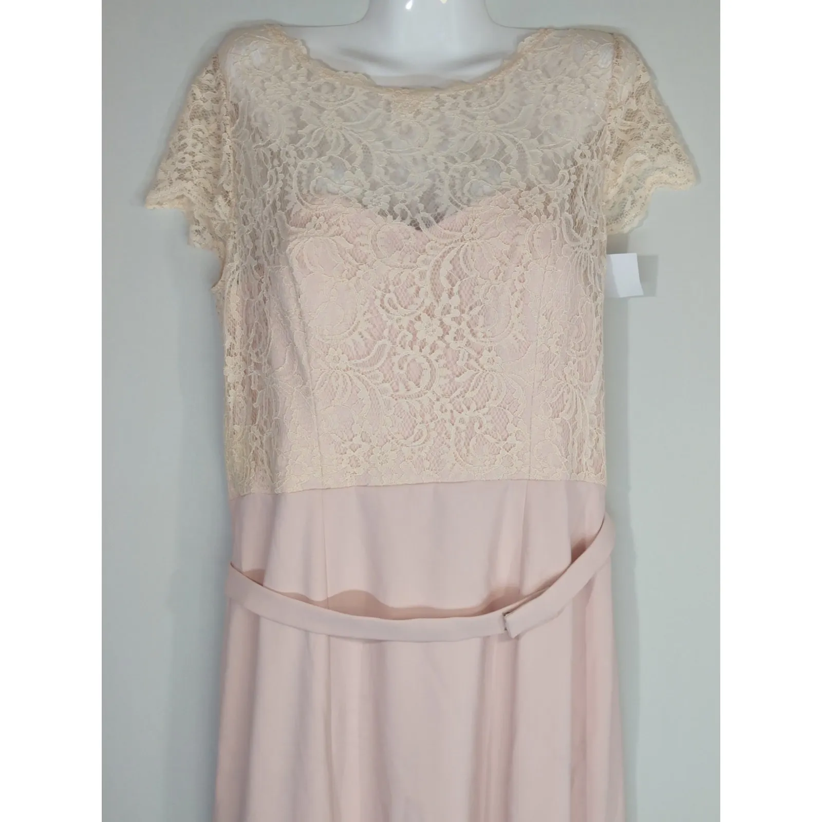 Jenny Packham Blush Lace & Crepe Column Gown - Image 3