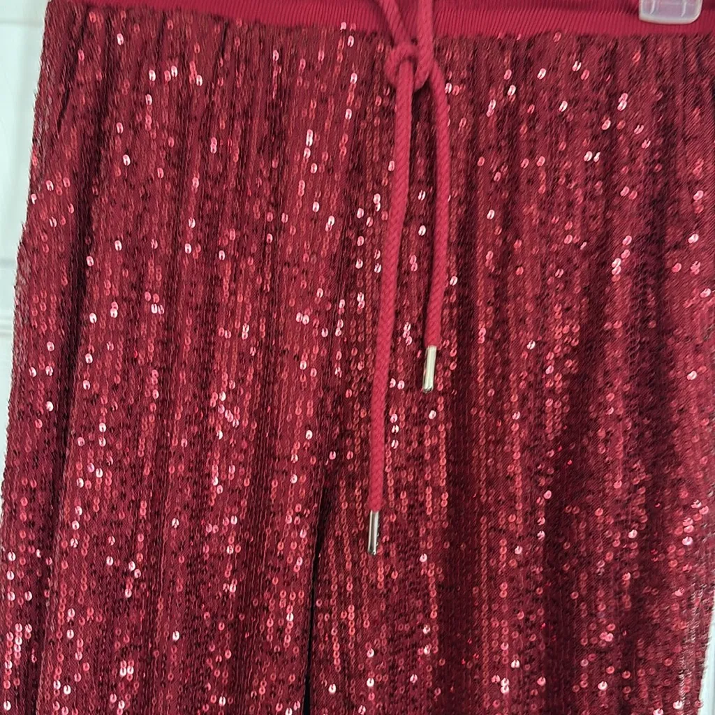 Sequin Red vine Jogger Pants Size M - Image 6