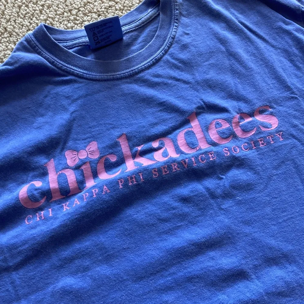 Comfort Colors Chickadees Blue Pink Long Sleeve Shirt Unisex Size Medium EUC - Image 6