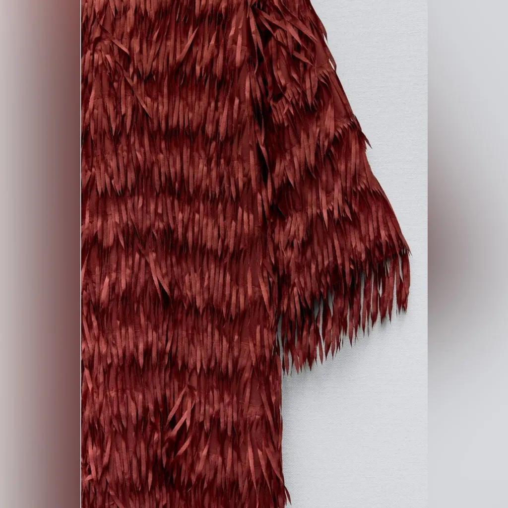 ZARA Limited Edition Bloggers Favorite Red Fringe Statement Coat Jacket Sz M NEW - Image 7