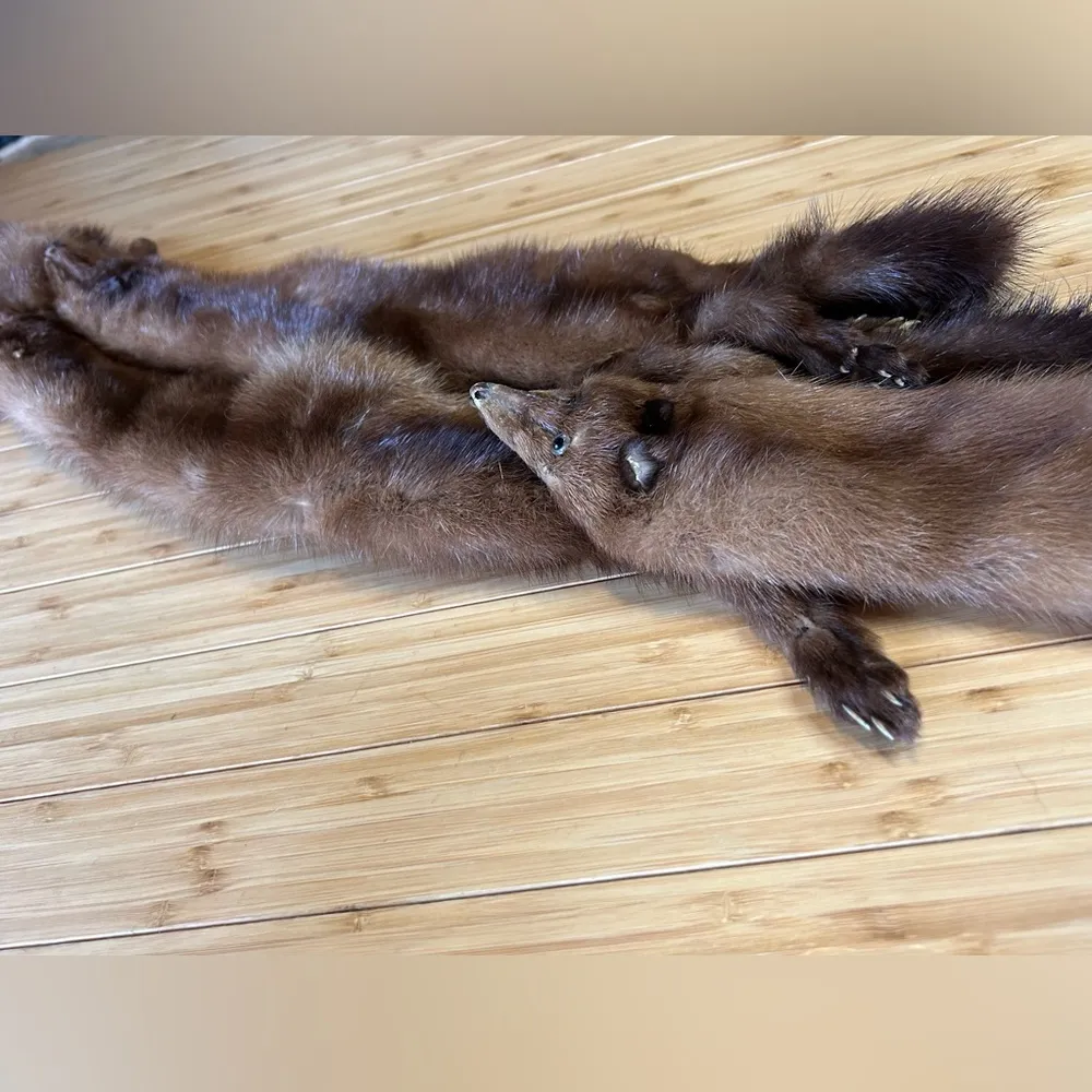 Vintage 4 Mink Fur Complete Body Pelt Scarf Brown - Image 12