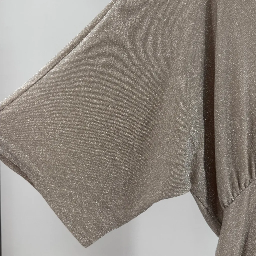 Vici Shimmering Silver Champagne midi deep V- neck slit Dress S NYE party event - Image 3