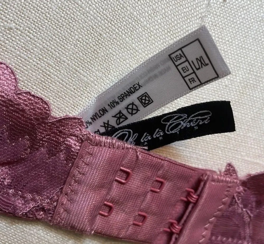 Oh La La Cheri women’s lace intimate lace bra Sz L/XL New - Image 2