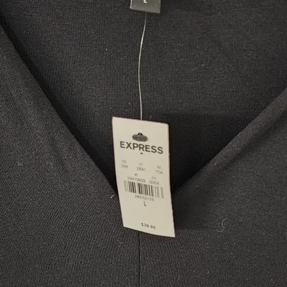 Black Sleeveless Bodysuit. V-neck.  NWTS Women’s Sz L. - Image 4