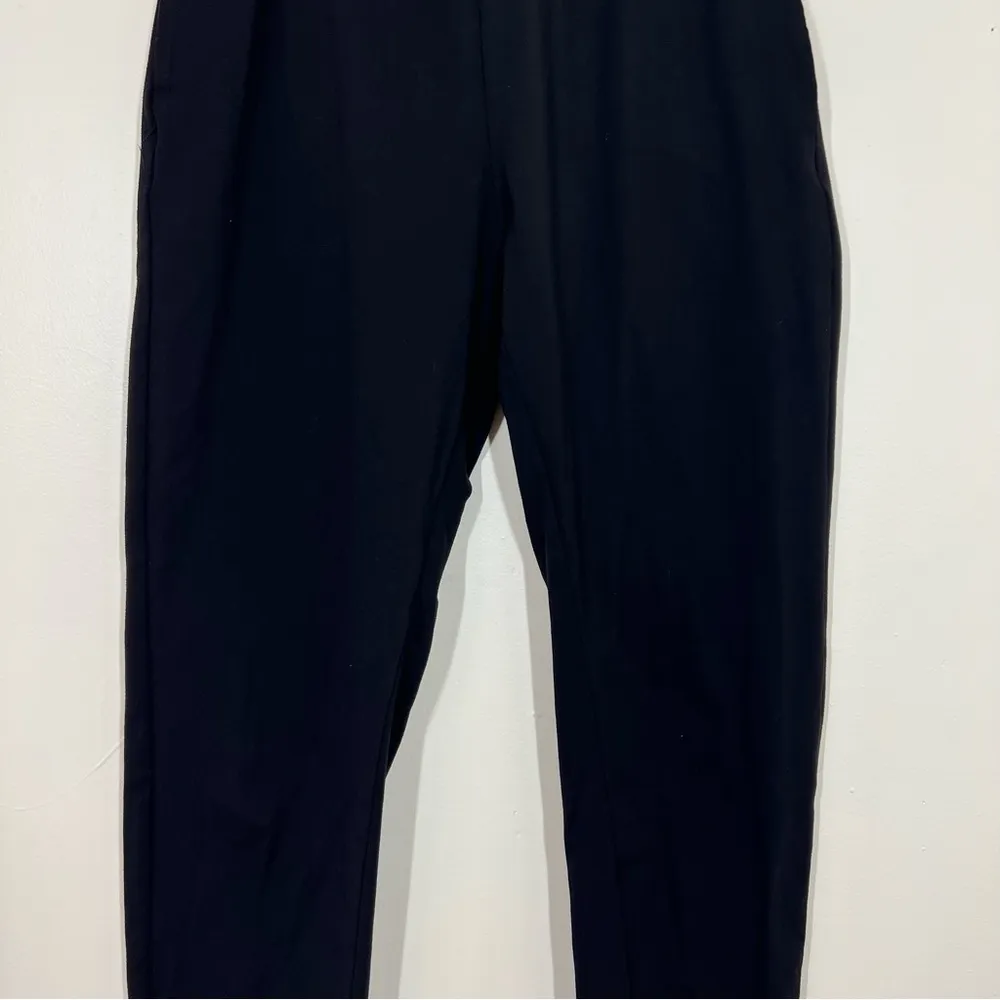 Marine Layer Sport Black Jogger - Image 5