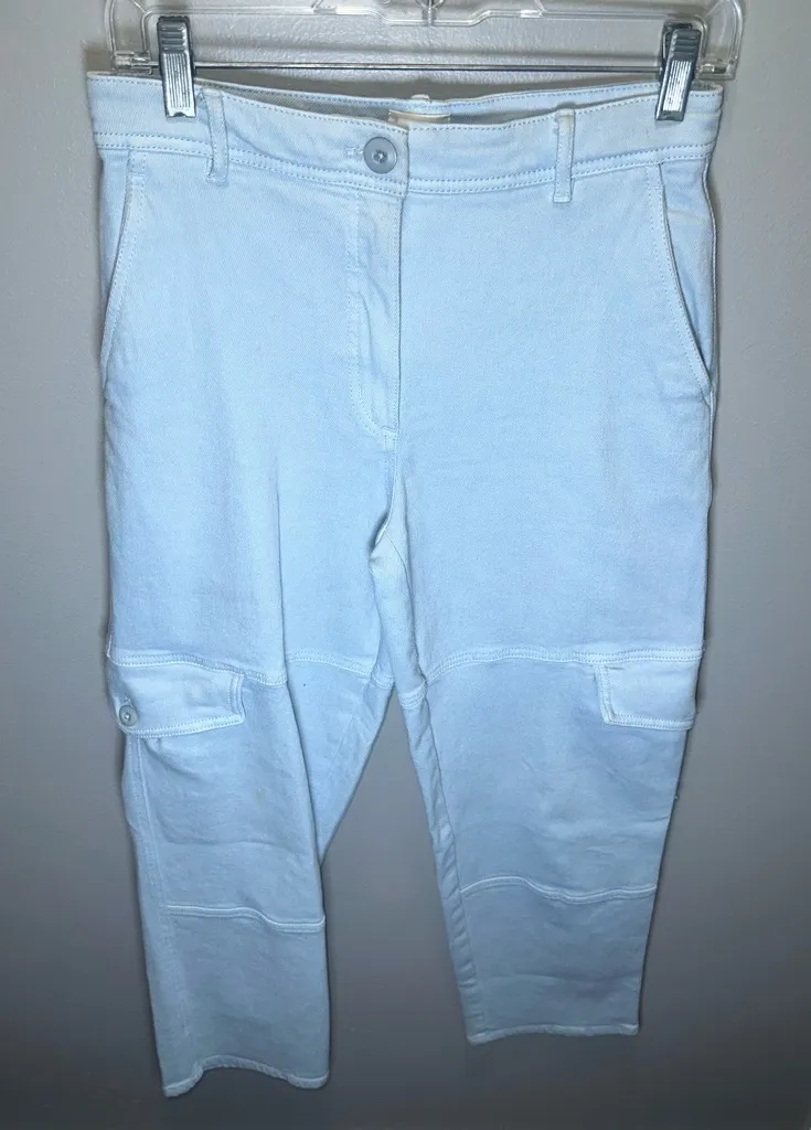 Aritzia Wilfred Free Baby Blue Modern Cargo Straight Leg Pants Size‎ 4 - Image 1