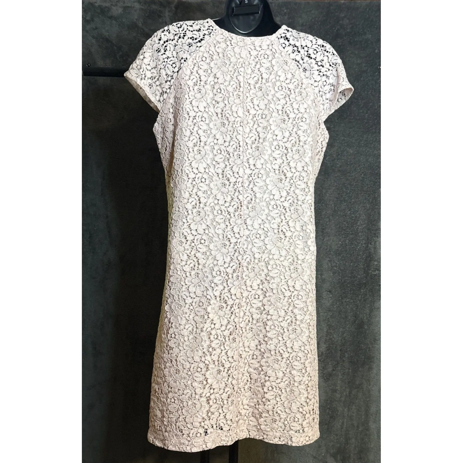 NWT ZARA PALE PINK EYELET LACE CAP SLEEVE SHIFT DRESS size XS - Image 6