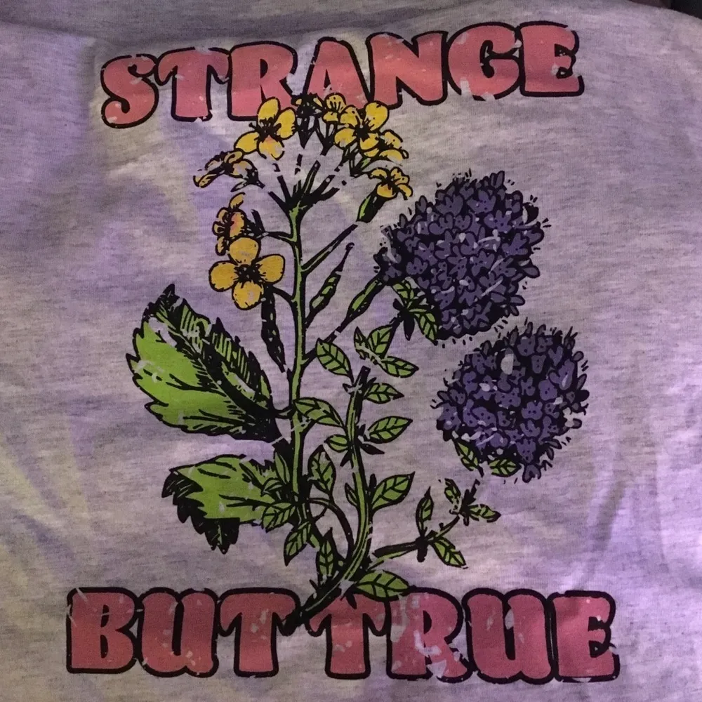 BP Nordstrom Strange But True Floral Graphic Cotton Long Sleeve Tee M - Image 5