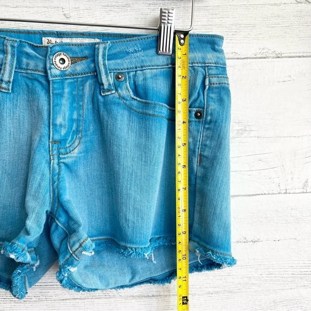 Vintage Havana Blue Shorts - Image 6