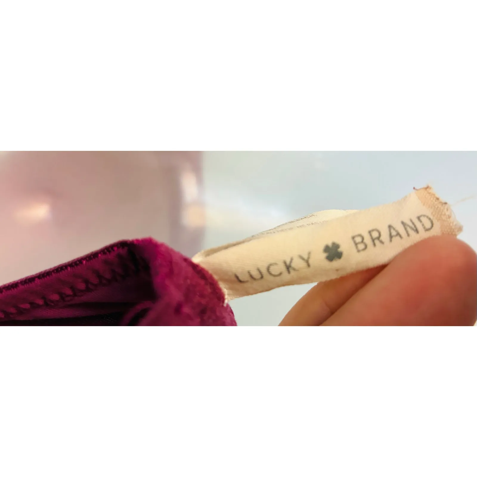 Lace Bra 34C Lucky Brand - Image 5