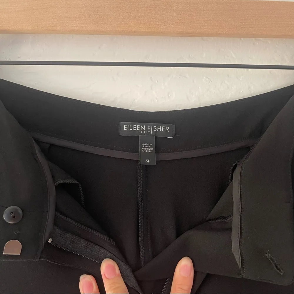 Eileen Fisher Silk Georgette Stripe Straight Crepe Pants | 6P - Image 5