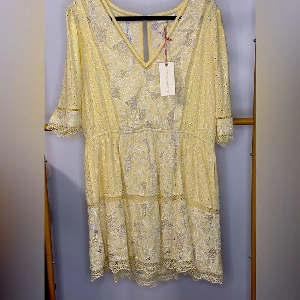 LoveShackFancy Jobelle Crochet-Trimmed Broderie Anglaise Mini Dress in Yellow - Image 4