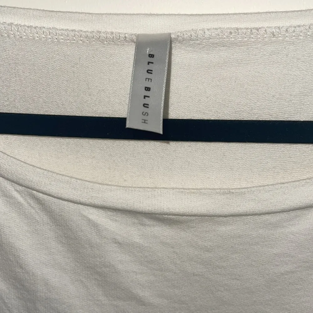 🆕 Blue Blush Cropped Long Sleeve Floral Embroidered Top - Image 3